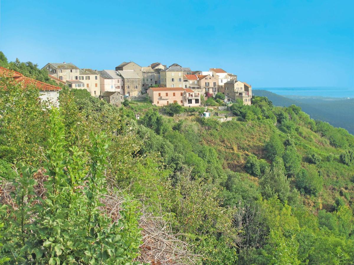 Holiday Home Maison Josee By Interhome Cervione Εξωτερικό φωτογραφία