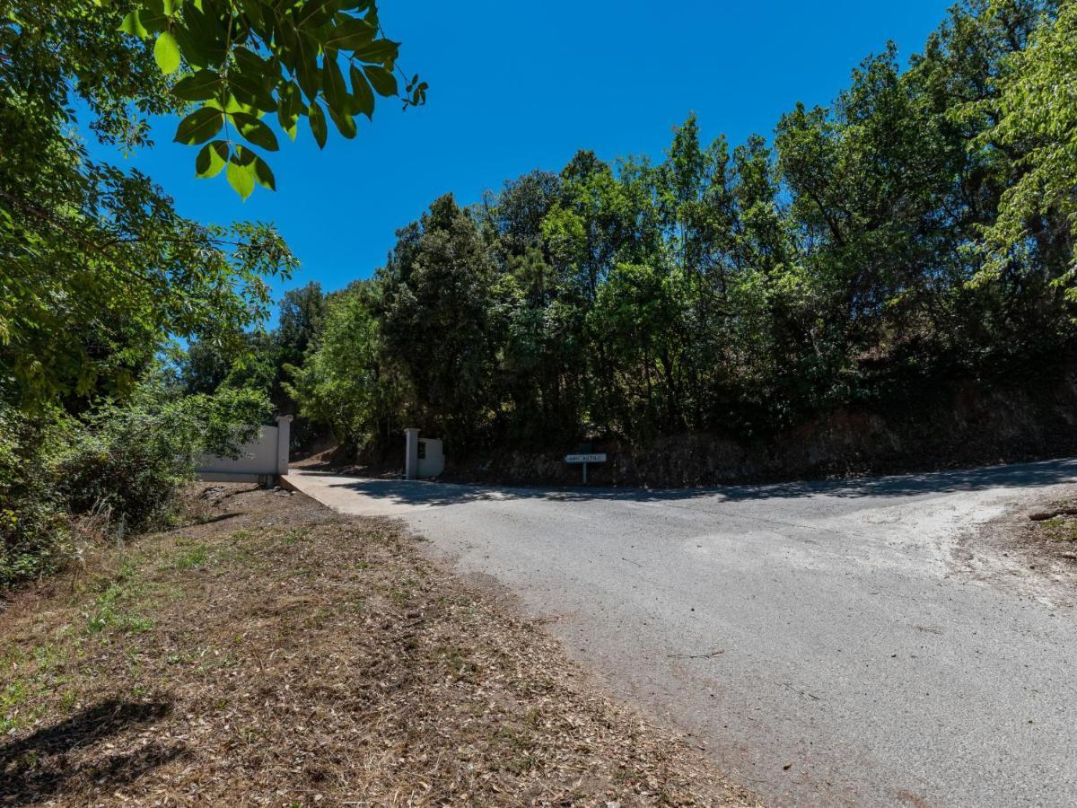 Holiday Home Maison Josee By Interhome Cervione Εξωτερικό φωτογραφία