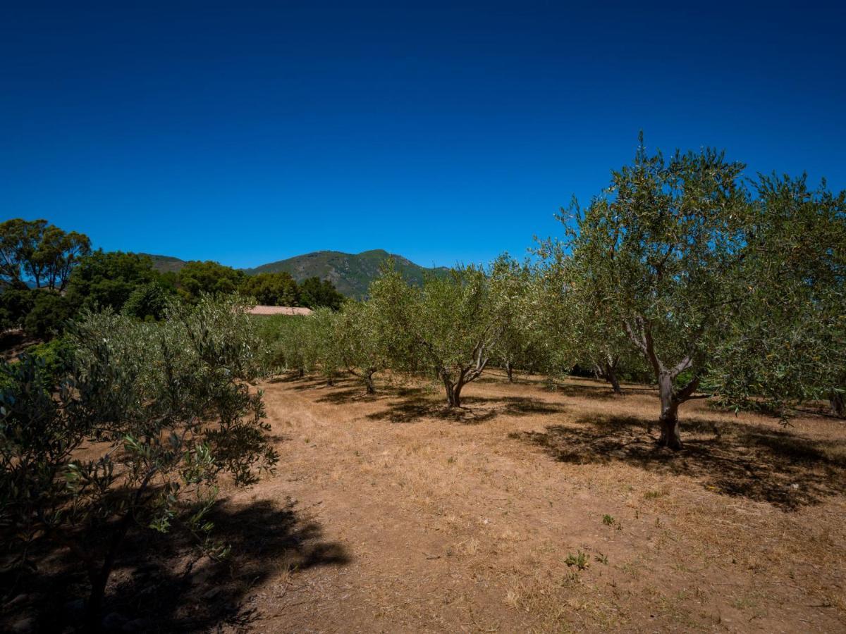 Holiday Home Maison Josee By Interhome Cervione Εξωτερικό φωτογραφία