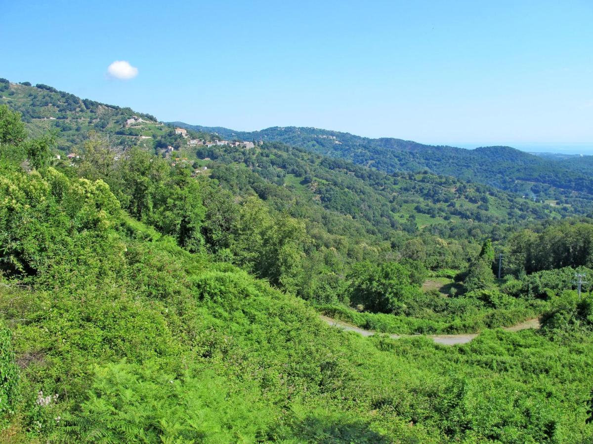 Holiday Home Maison Josee By Interhome Cervione Εξωτερικό φωτογραφία